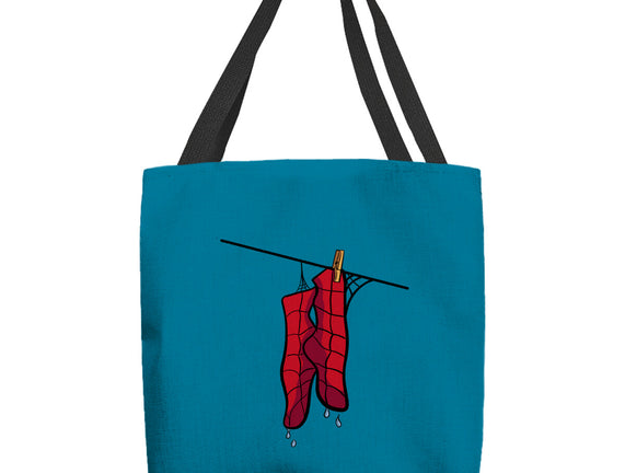 Spider Laundry Day