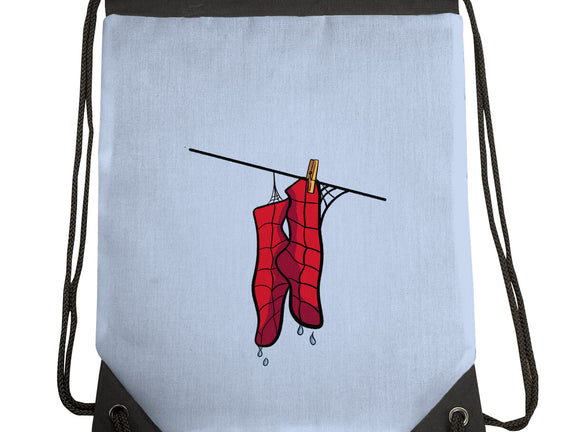 Spider Laundry Day