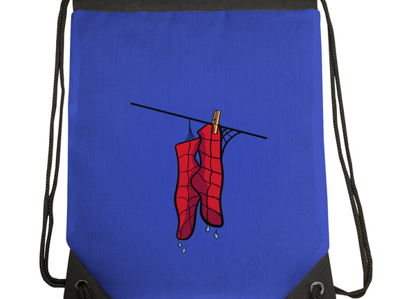 Spider Laundry Day