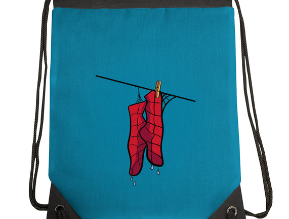 Spider Laundry Day