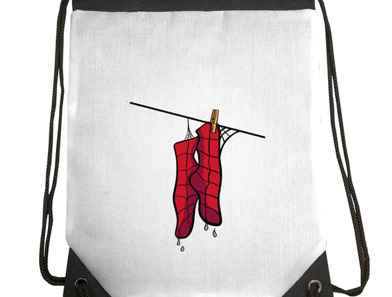 Spider Laundry Day