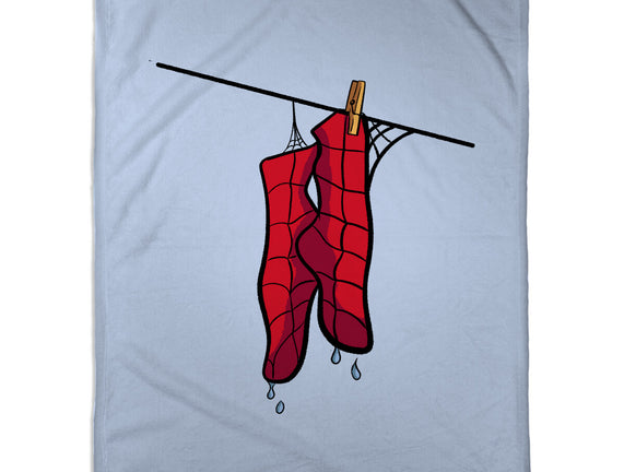 Spider Laundry Day