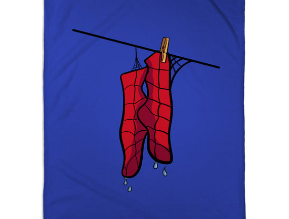 Spider Laundry Day
