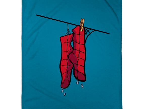 Spider Laundry Day