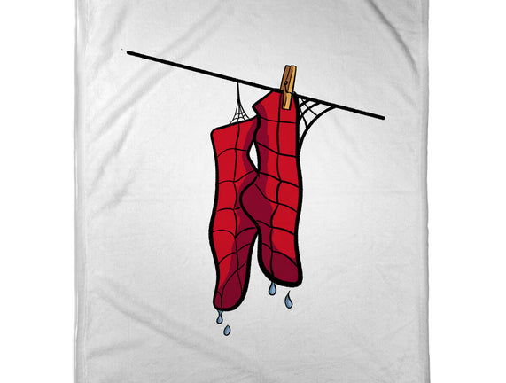 Spider Laundry Day