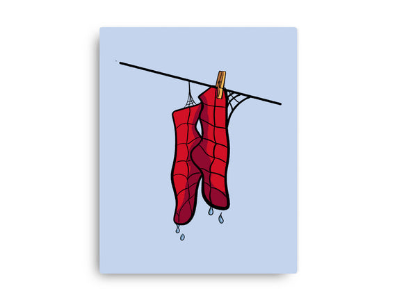Spider Laundry Day