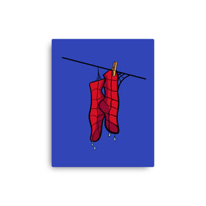 Spider Laundry Day