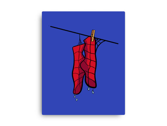 Spider Laundry Day