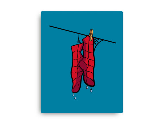 Spider Laundry Day