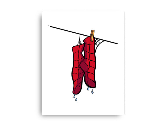 Spider Laundry Day