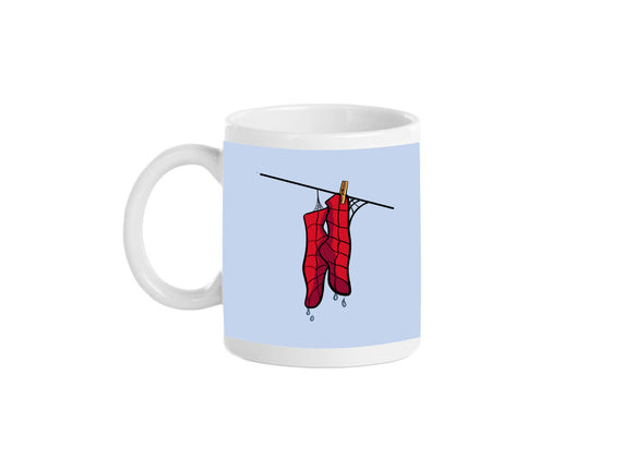 Spider Laundry Day