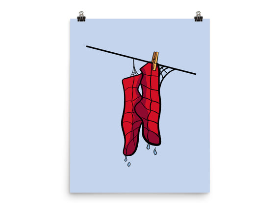 Spider Laundry Day