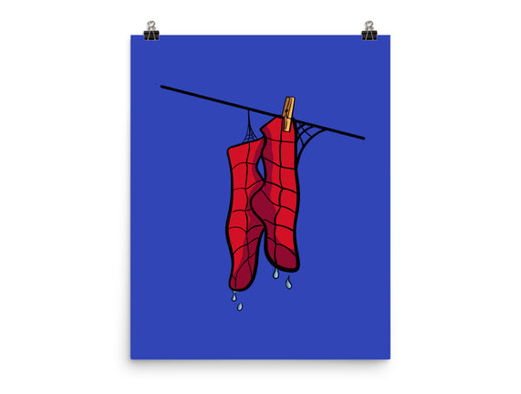 Spider Laundry Day