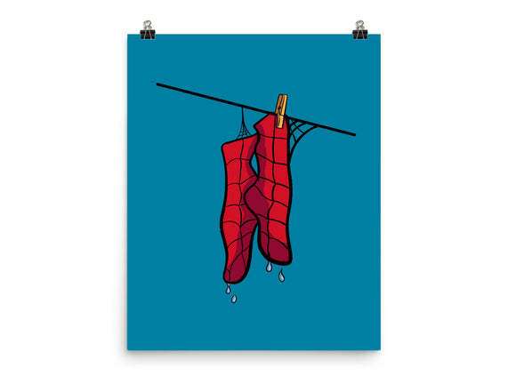 Spider Laundry Day