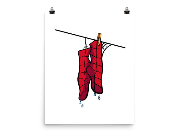 Spider Laundry Day
