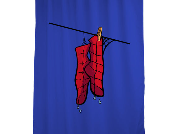 Spider Laundry Day