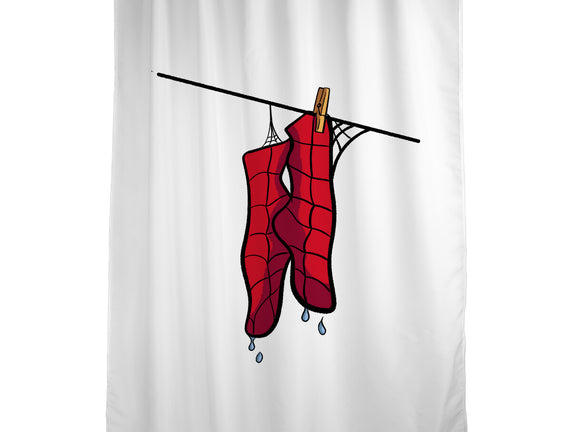 Spider Laundry Day