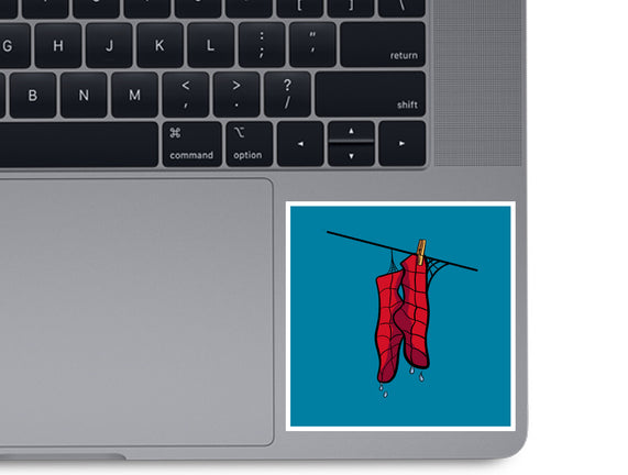 Spider Laundry Day
