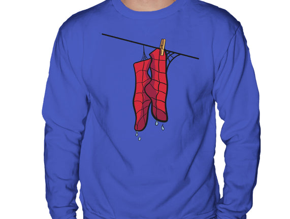 Spider Laundry Day