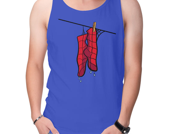 Spider Laundry Day