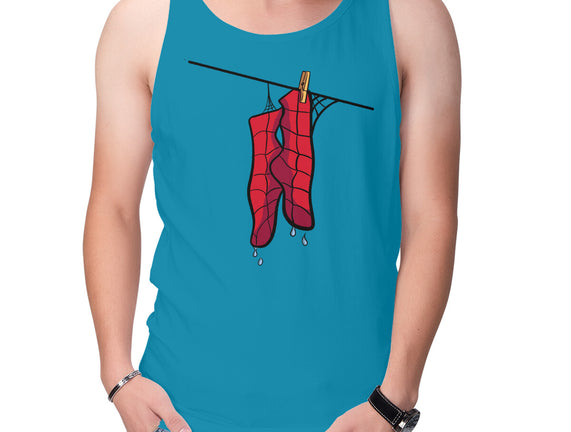 Spider Laundry Day