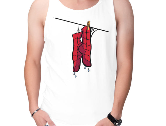 Spider Laundry Day