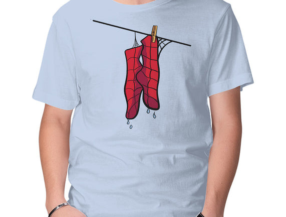 Spider Laundry Day