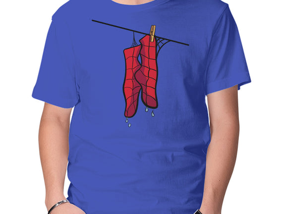 Spider Laundry Day