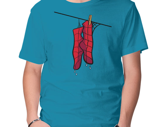 Spider Laundry Day