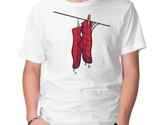 Spider Laundry Day