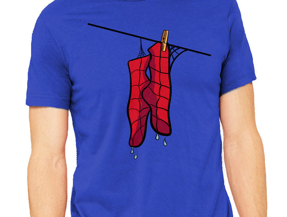 Spider Laundry Day