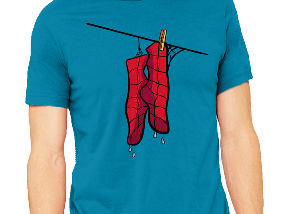 Spider Laundry Day