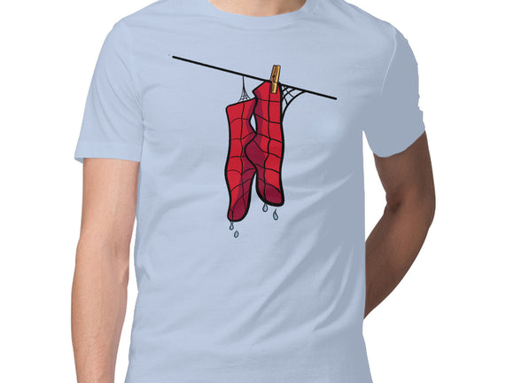 Spider Laundry Day