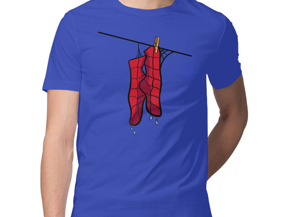 Spider Laundry Day