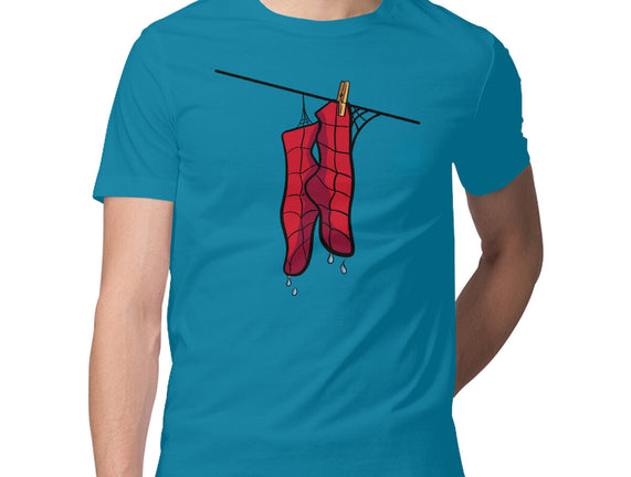 Spider Laundry Day