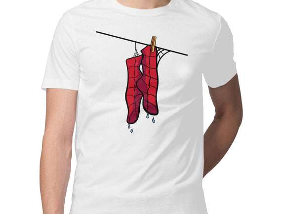 Spider Laundry Day