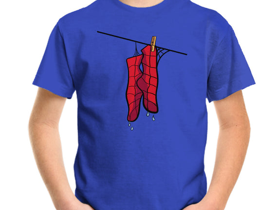 Spider Laundry Day