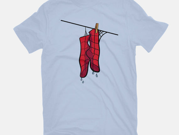 Spider Laundry Day