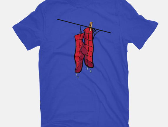 Spider Laundry Day