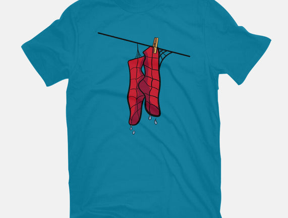 Spider Laundry Day