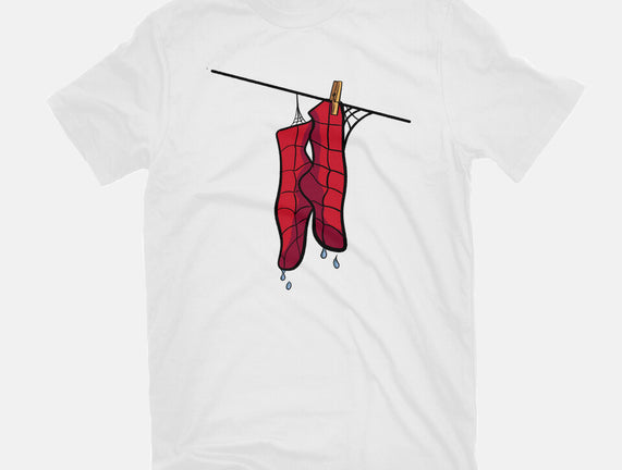 Spider Laundry Day