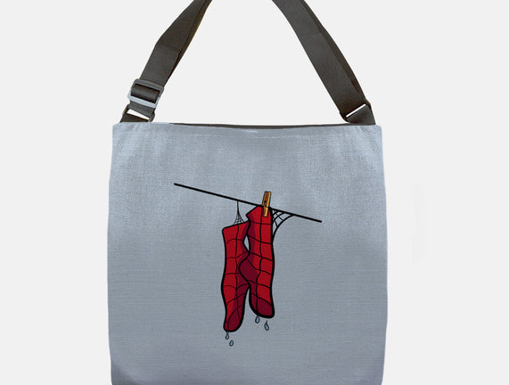 Spider Laundry Day
