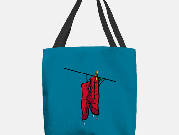 Spider Laundry Day