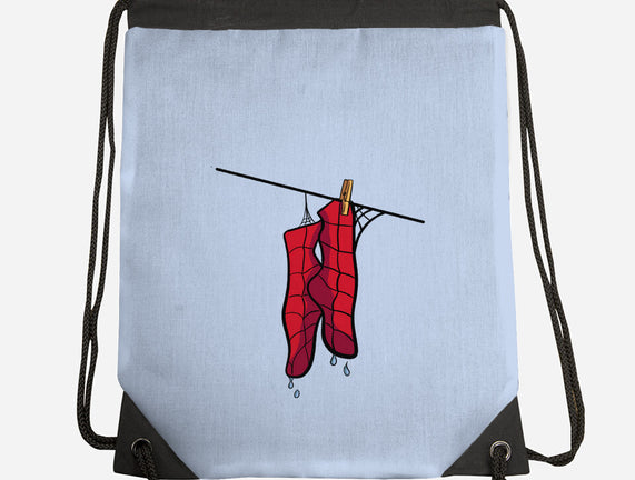 Spider Laundry Day