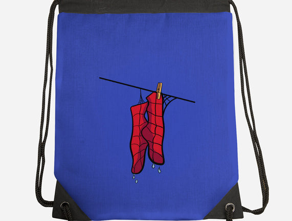 Spider Laundry Day