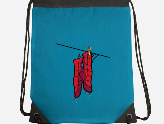 Spider Laundry Day