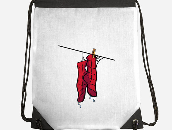 Spider Laundry Day