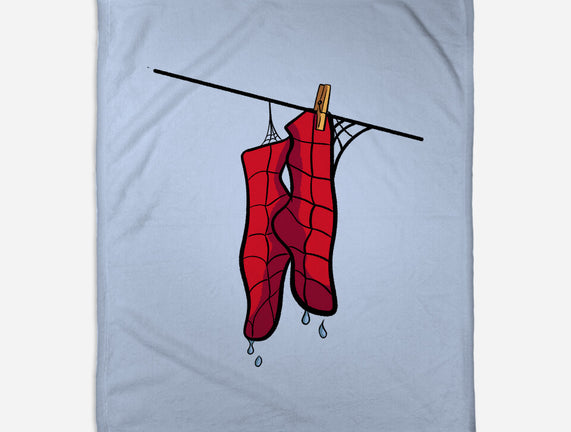 Spider Laundry Day