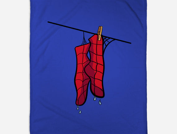 Spider Laundry Day