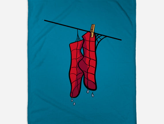 Spider Laundry Day